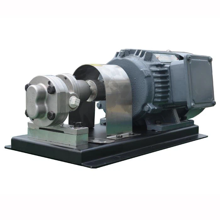 Gear Pump With Motor