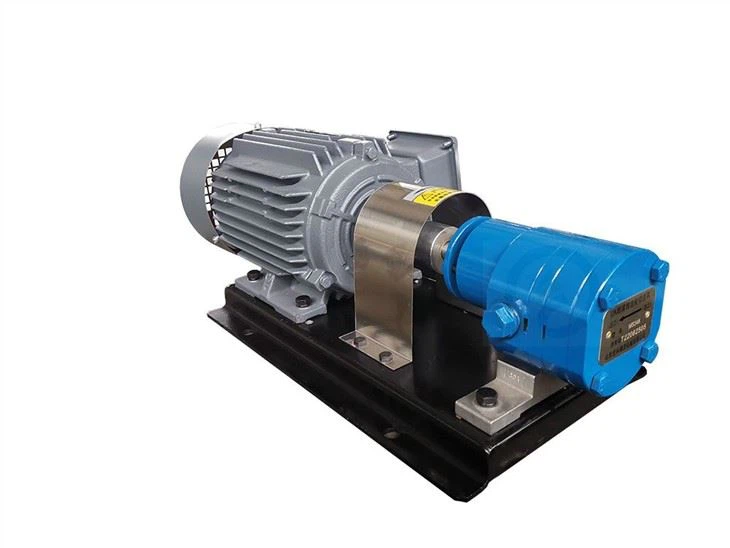 Strong Water Delivery Special Gear Metering Pump